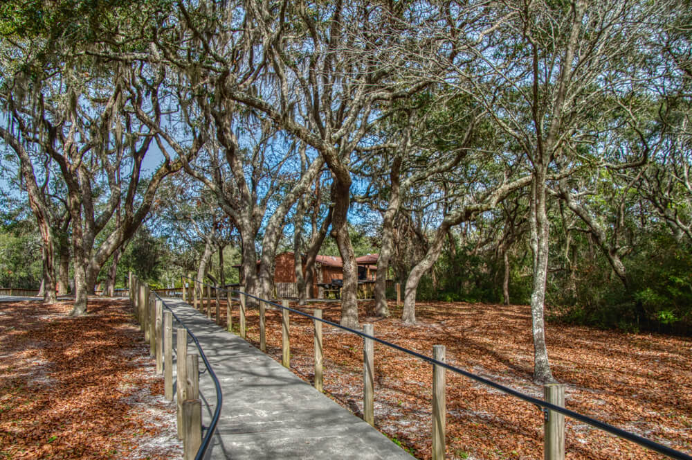 A Guide to Unique Things to Do in Panama City Beach