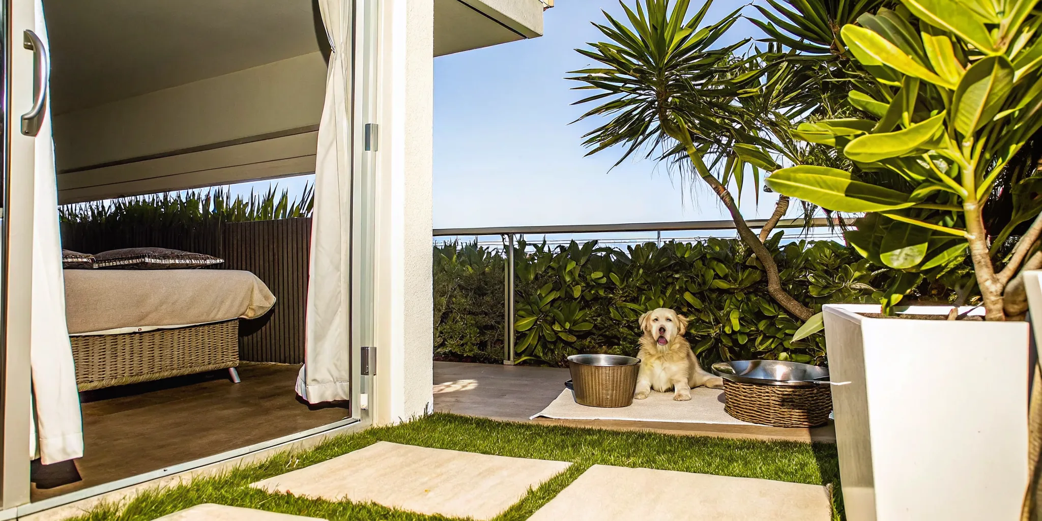 The Ultimate Guide to Dog Friendly House Rentals